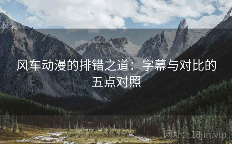 风车动漫的排错之道：字幕与对比的五点对照