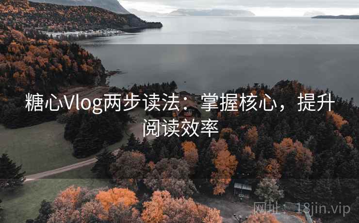 糖心Vlog两步读法：掌握核心，提升阅读效率